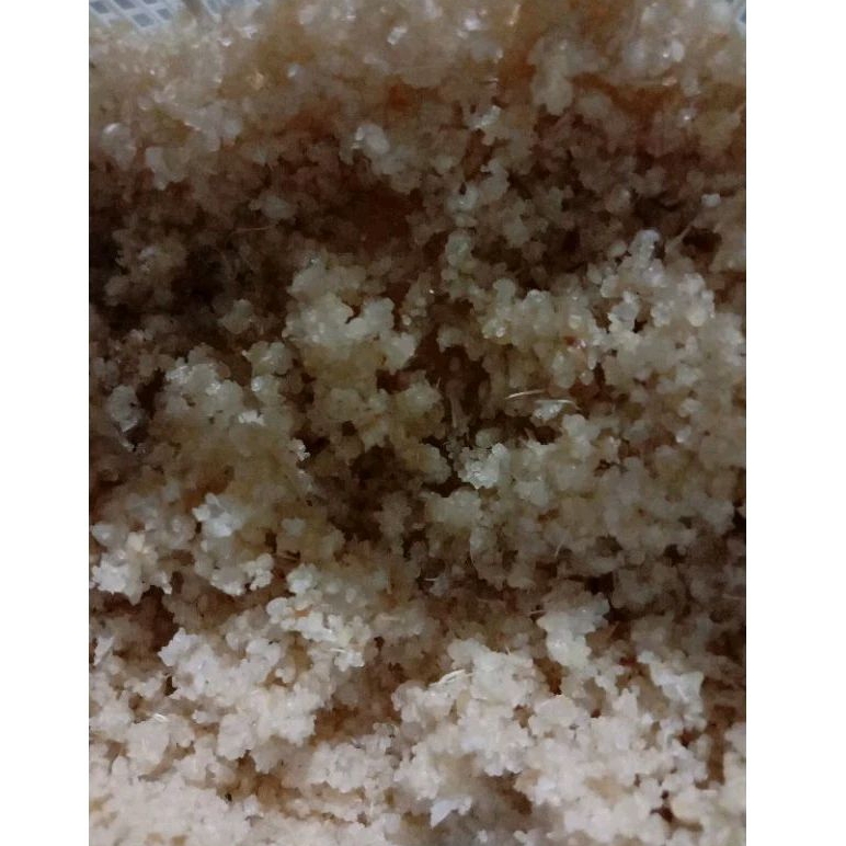 

nasi oyek/nasi tiwul singkong khas kebumen/nasi diet