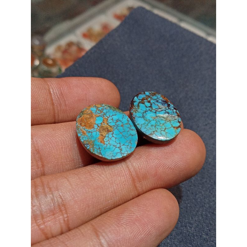 Pirus Persia ceplok kura