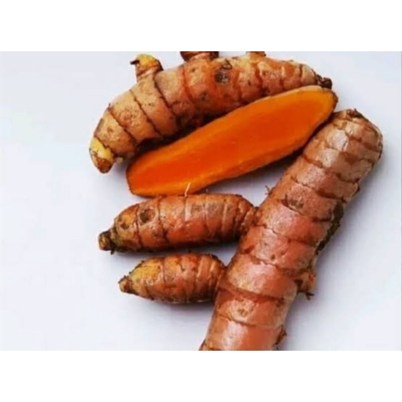 

Kunyit Segar 1 kg super murah