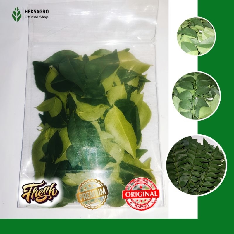 

Daun kari / salam koja / temurui ( min 10 tangkai )