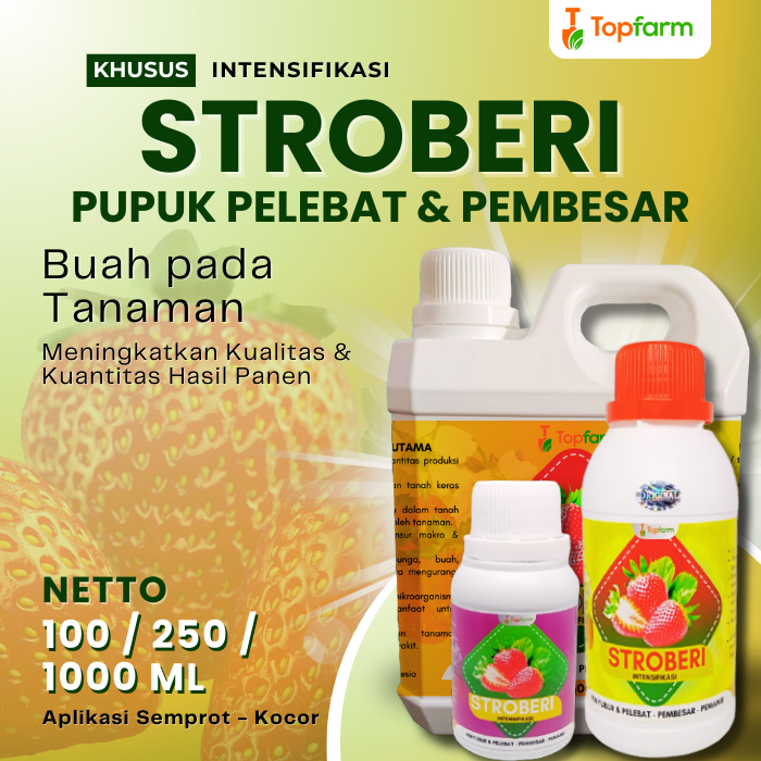 Pupuk Stroberi Berbuah Lebat / Pupuk Pembesar Buah Stroberi / Pupuk Penyubur Buah Stroberi / Pupuk B