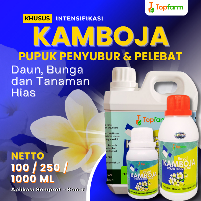 Pupuk Untuk Bunga Kamboja / Pupuk Kamboja / Pupuk Tanaman Bunga Kamboja / Pupuk Tanaman Kamboja / Pu