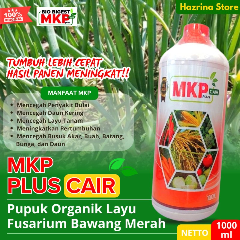 Pupuk Fungisida Hayati Obat Layu Fusarium Bawang Merah Paling Ampuh