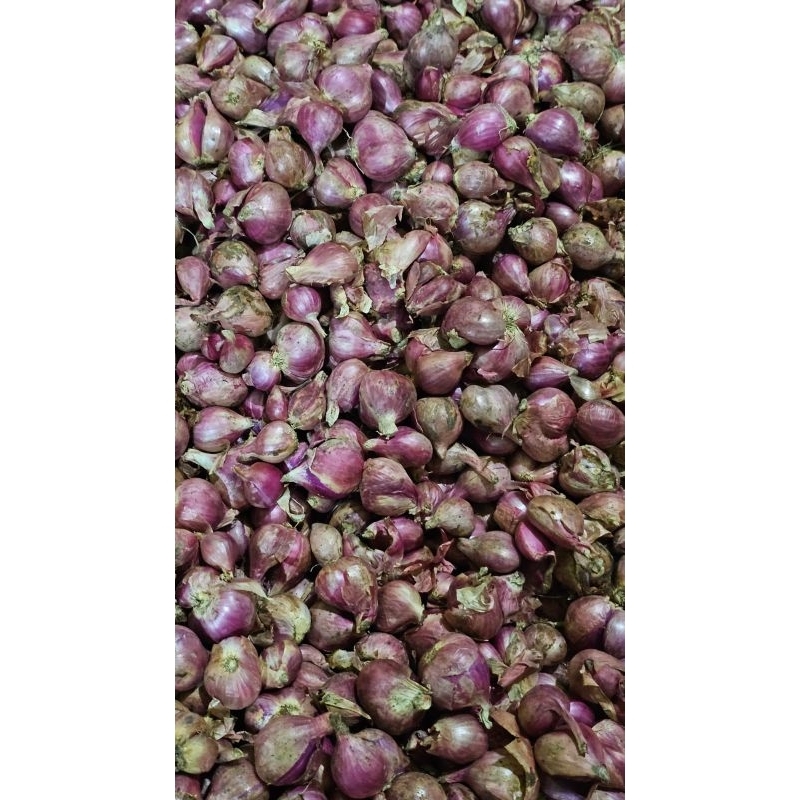

bawang merah