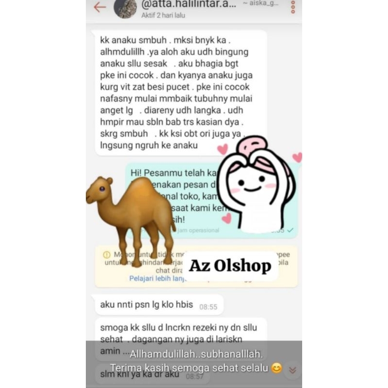 DyaL New KAPSUL HATI UNTA ORIGINAL/ASMA/DIABETES