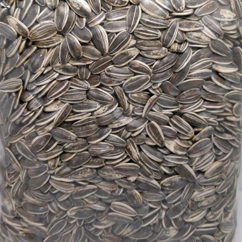 

KILAT KWACI BIJI BUNGA MATAHARI KULIT 1 KG