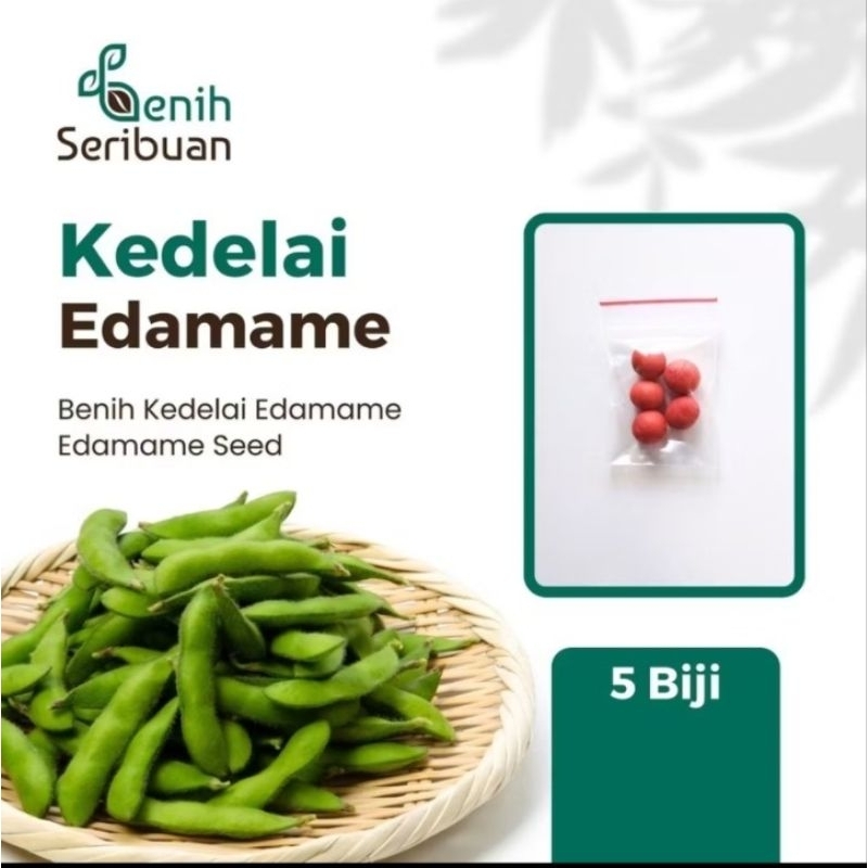 5 biji bibit Kedelai EDAMAME