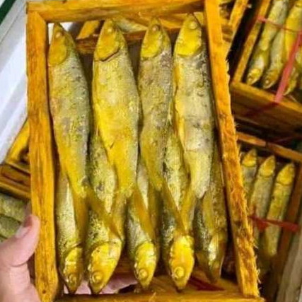 

BANDENG PRESTO LEGEND ASLI JUWANA PATI DURI LUNAK | ISI 9-10 EKOR