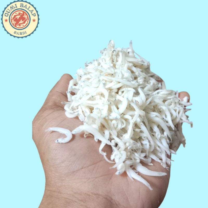 

ikan teri medan,teri nasi super berkualitas
