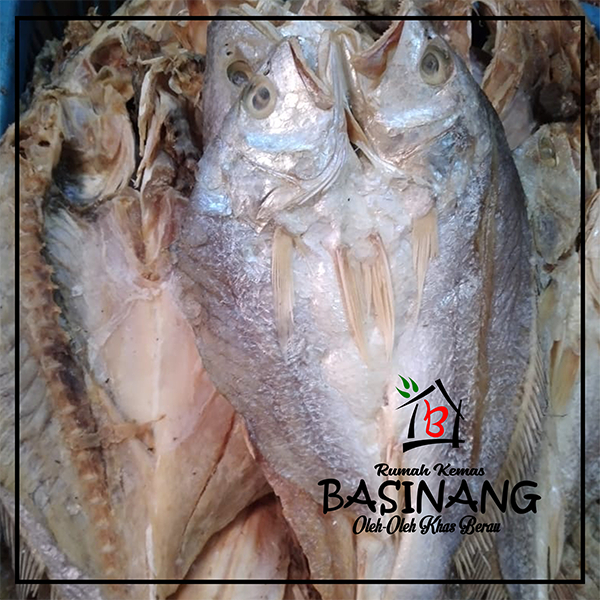 

Ikan Asin Gulama | Oleh - oleh khas berau kalimantan timur