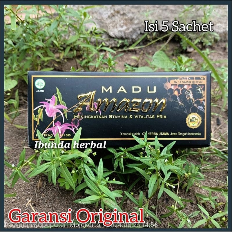 

MADU AMAZON STAMINA ASLI DAN ORIGINAL