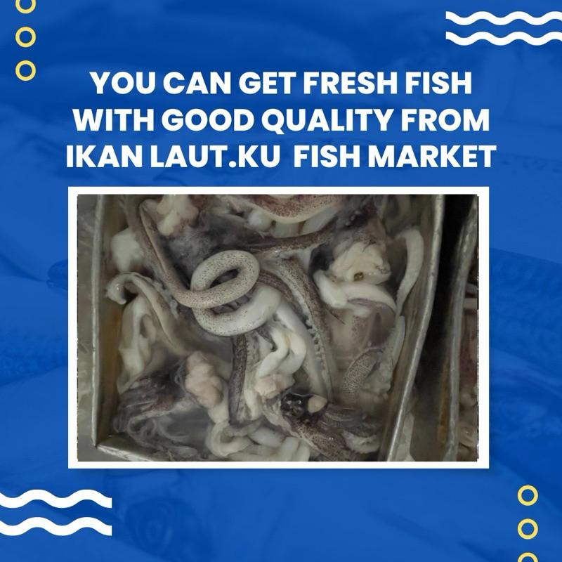 

Kepala Cumi Semampar