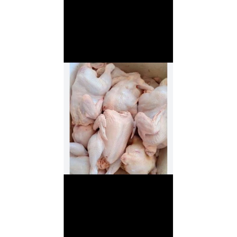 

ayam negri 1/2 ekor