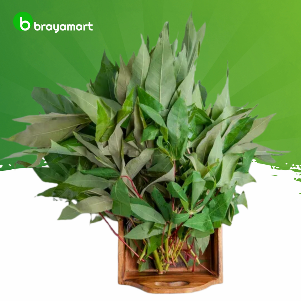 

Daun singkong 1 ikat +/- 250 gram Brayamart