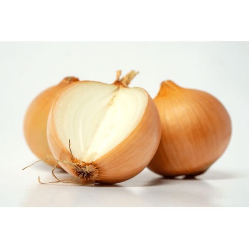 

bawang Bombay murah fresh