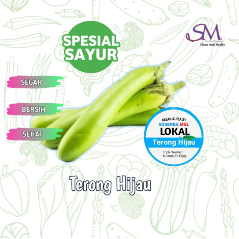

Terong Hijau Segar