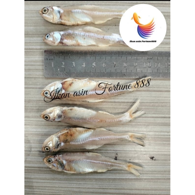 

Ikan asin Teri Gelagah/Katak Tawar super premium 500gram, 250gram, 100gram