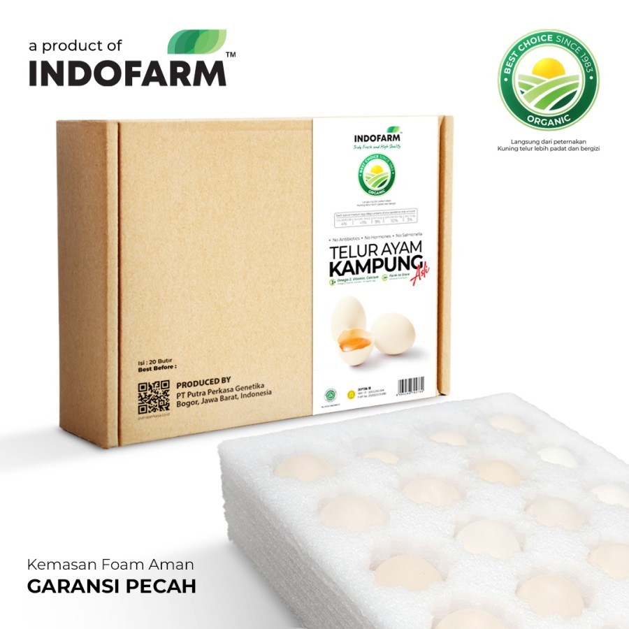 

TELUR AYAM KAMPUNG ASLI (20 butir) - Indofarm 100% Original & Sehat