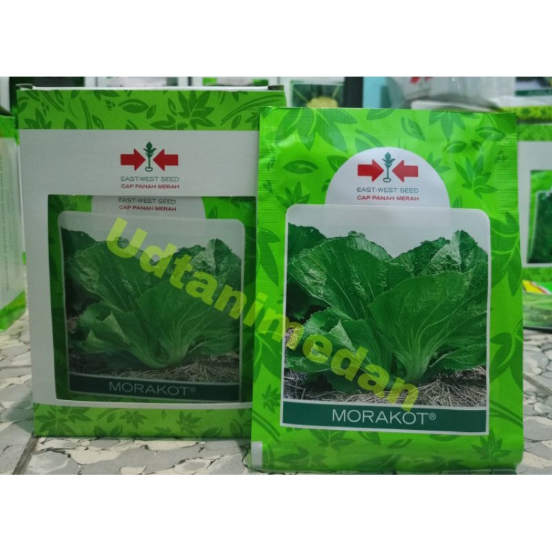 Benih Sawi Pahit Morakot isi 20 gram