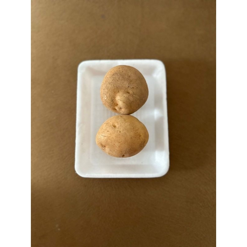 

kentang 5000
