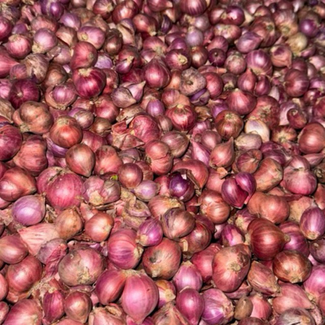 

BAWANG MERAH PROBOLINGGO 250gr, 500gr