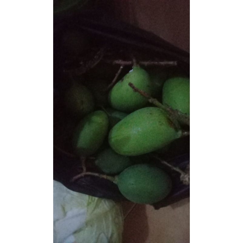 

mangga2kg