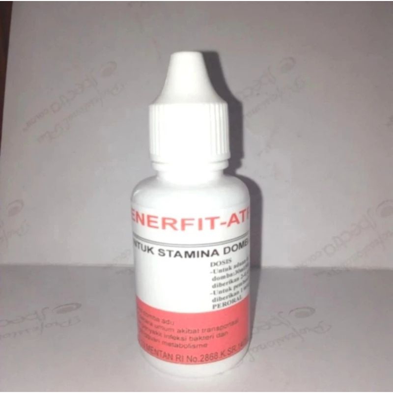 Enerfit - Atp Meyer, obat stamina domba adu