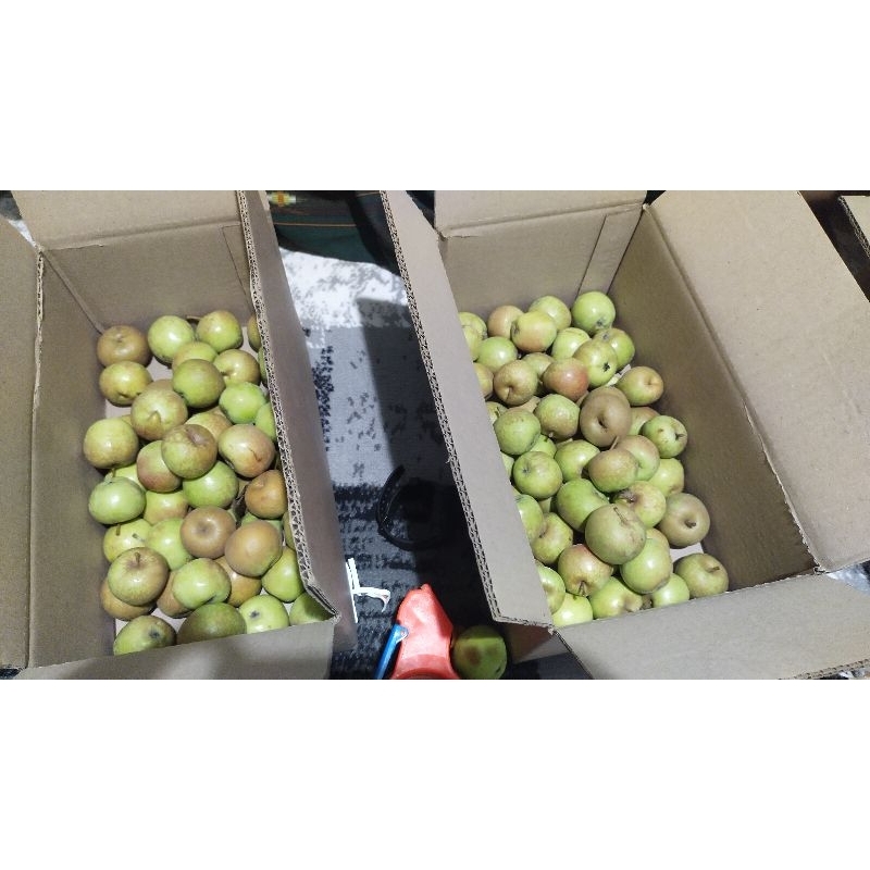 

Apel Malang Jenis Manalagi Cherry Berat 1kg