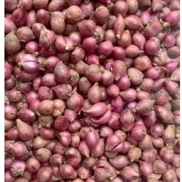 

BAWANG MERAH/BAWANG MERAH BESAR DAN SEDANG/BUMBU MASAKAN/BAWANG MERAH SEGAR DAN BAGUS/BAWANG MERAH UNTUK MEMASAK / BAWANG GORENG