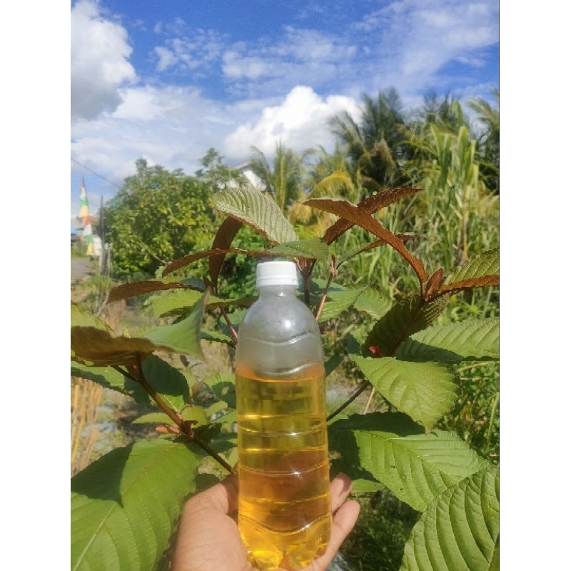 

jamu herbal dan kera'om /purk