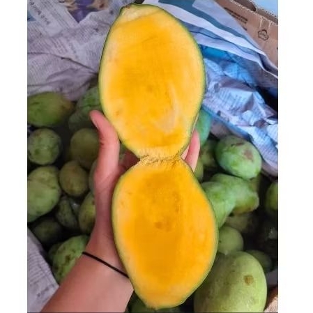 

Mangga Manalagi Manis Fresh 1kg