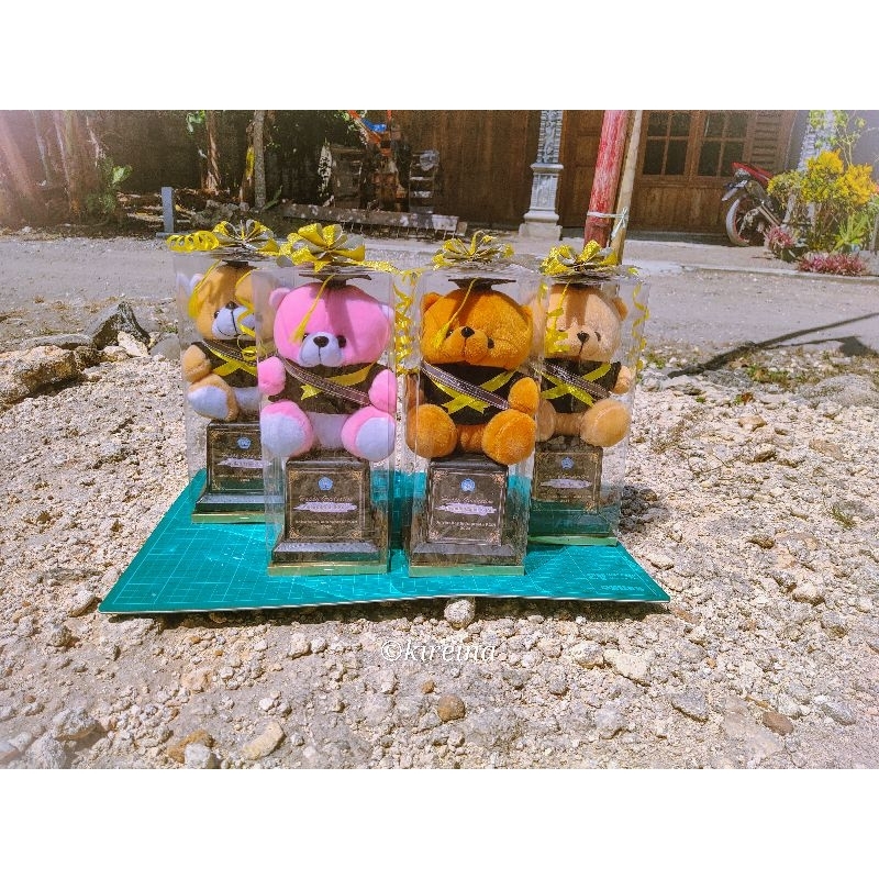 Boneka Wisuda / Boneka Wisuda Murah / Piala Boneka Wisuda / Piala Boneka Wisuda Murah