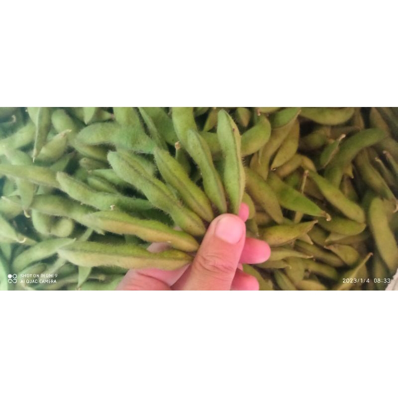 

edamame