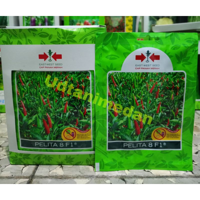 Benih Cabe Rawit Pelita 8 F1 isi 350 butir