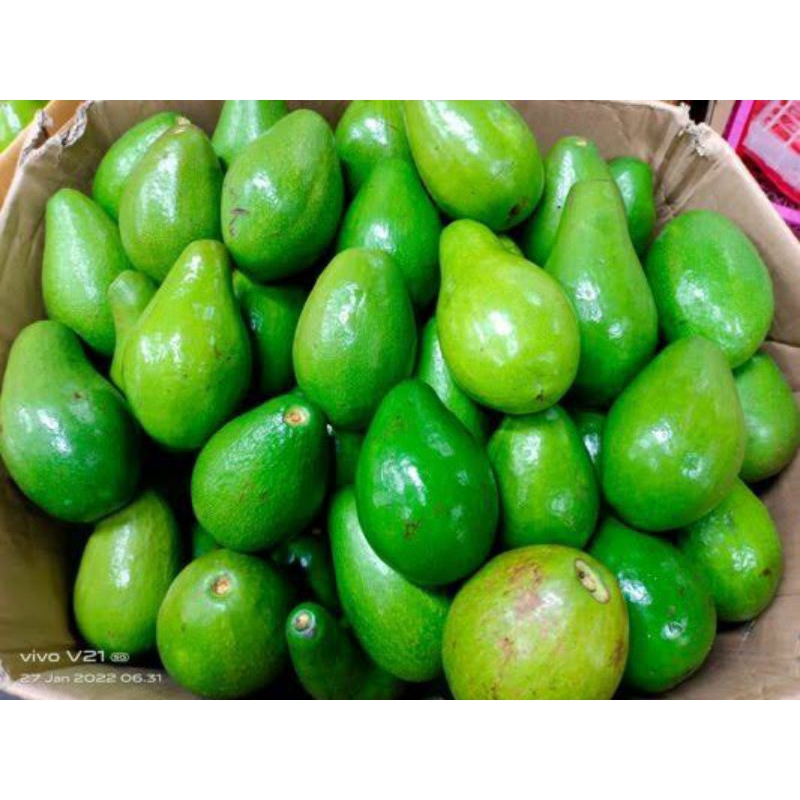 

pasar samarinda buah alpokat 500 gr