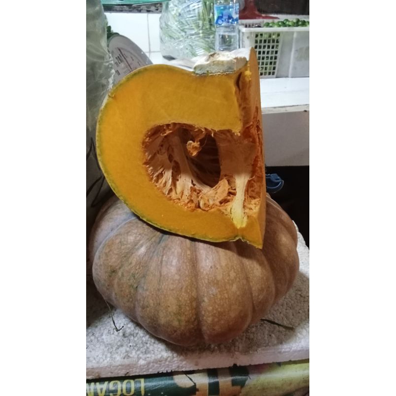 

labu kuning 1butir/bulat berat 1,8-2kg