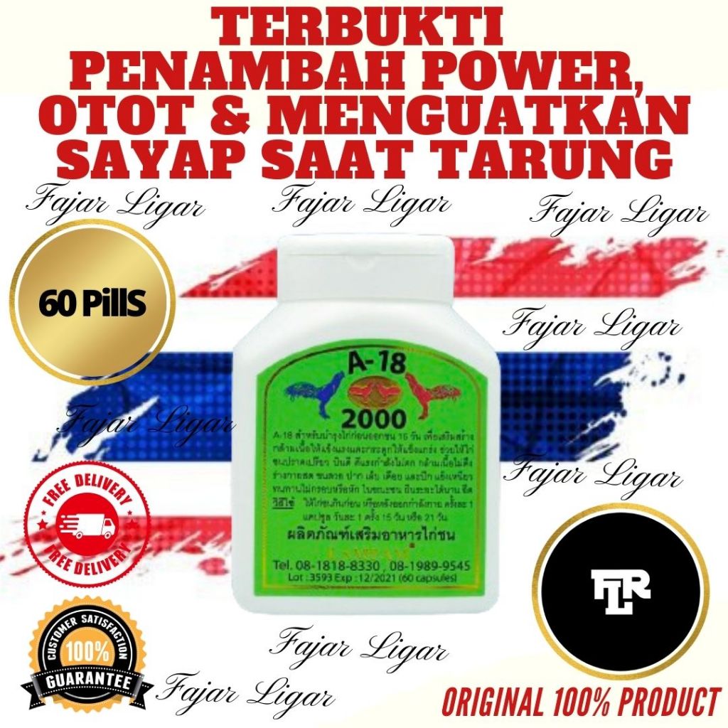 LAMPAM A18 - 2000 SUPLEMEN BIG GAME AMINO ACID VITAMIN AYAM