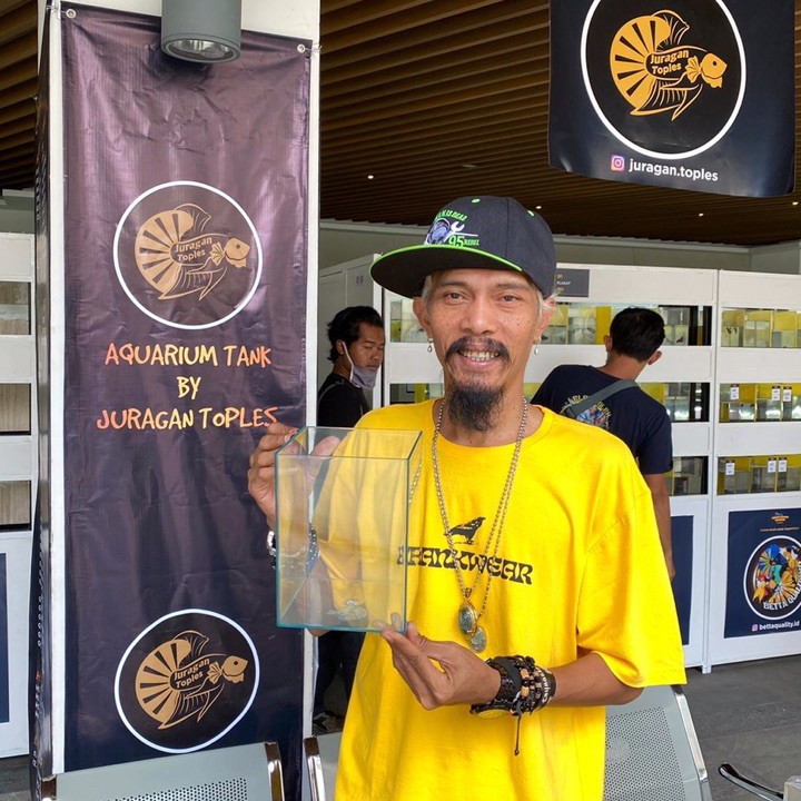 BURUAN SERBU soliter  akrilik cupang Juragan Toples ukuran4L sale tidakada garansi pecah kak