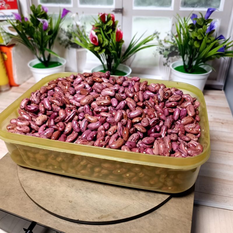 

RB merah dan tolo kacang merah & kacang tolo kacang joglo kacang lokal berkualitas buat es