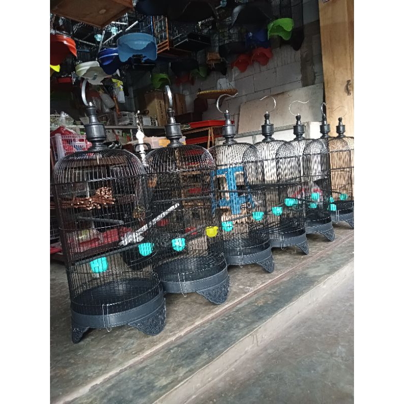 SANGKAR BURUNG BESI  LOVEBRID KONIN SOGON DAN BURUNG LAIN LAIN