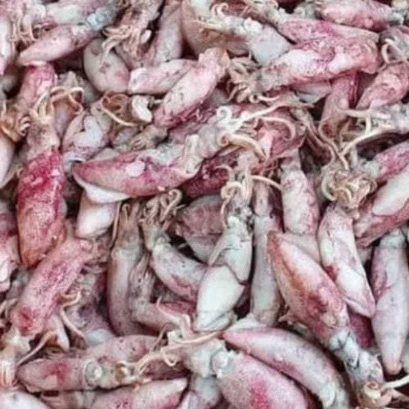 

GROSIR!!! 1KG IKAN CUMI ASIN/ Cumi Asin Murah / Cumi Asin Enak / Cumi Asin Gurih