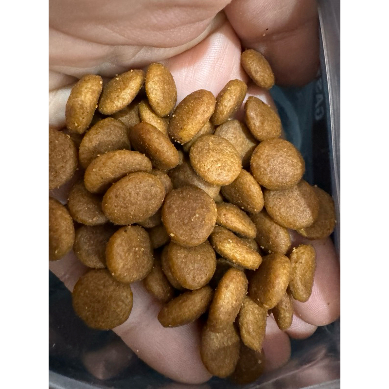 Makanan Anjing Dewas Premium Gastrointestinal Repack 1Kg