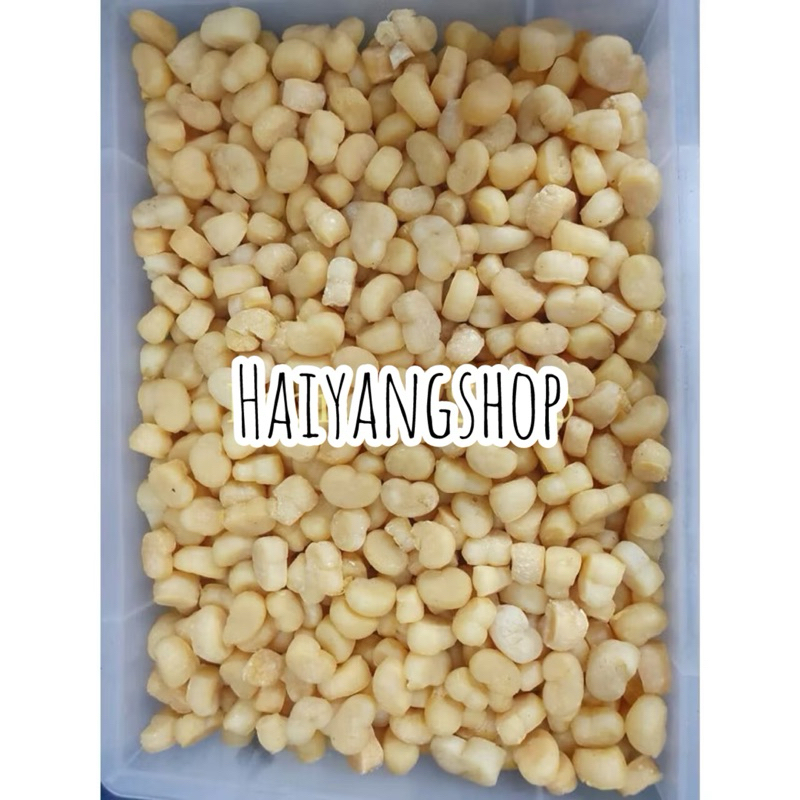 

Scallop Kering Indonesia Dried Ganbei Kerang Conpoy Dry Seafood 100gm