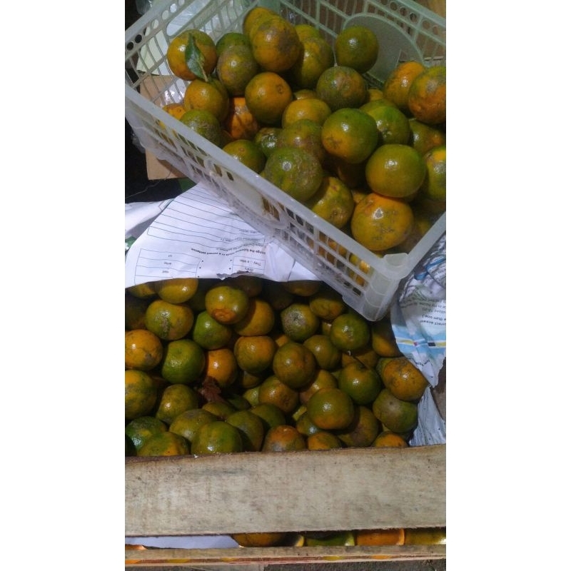 

Jeruk Siem Madu Malang