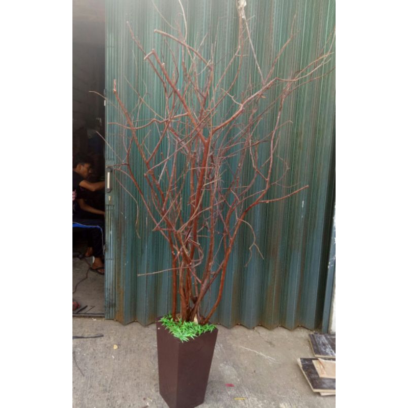 ranting kayu rimbun/bunga plastik/bunga kering