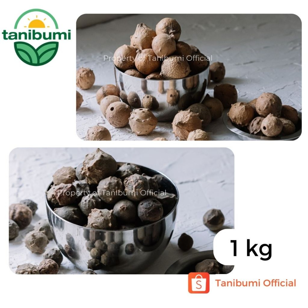 

1Kg | Buah Manjakani | Hijau & Putih | Biji Majakani Premium Grade A