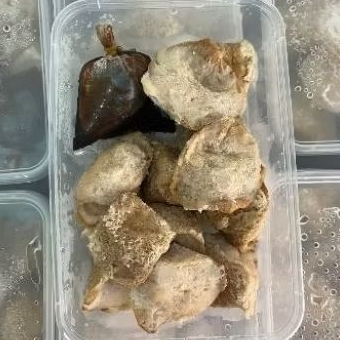 

Tahu Balik Frozen