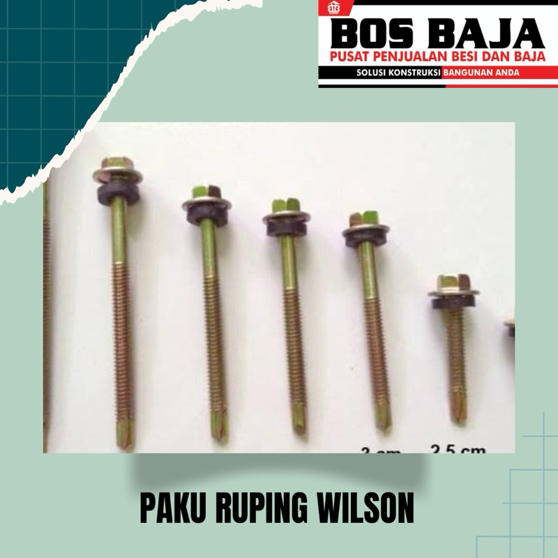 PAKU RUPING WILSON
