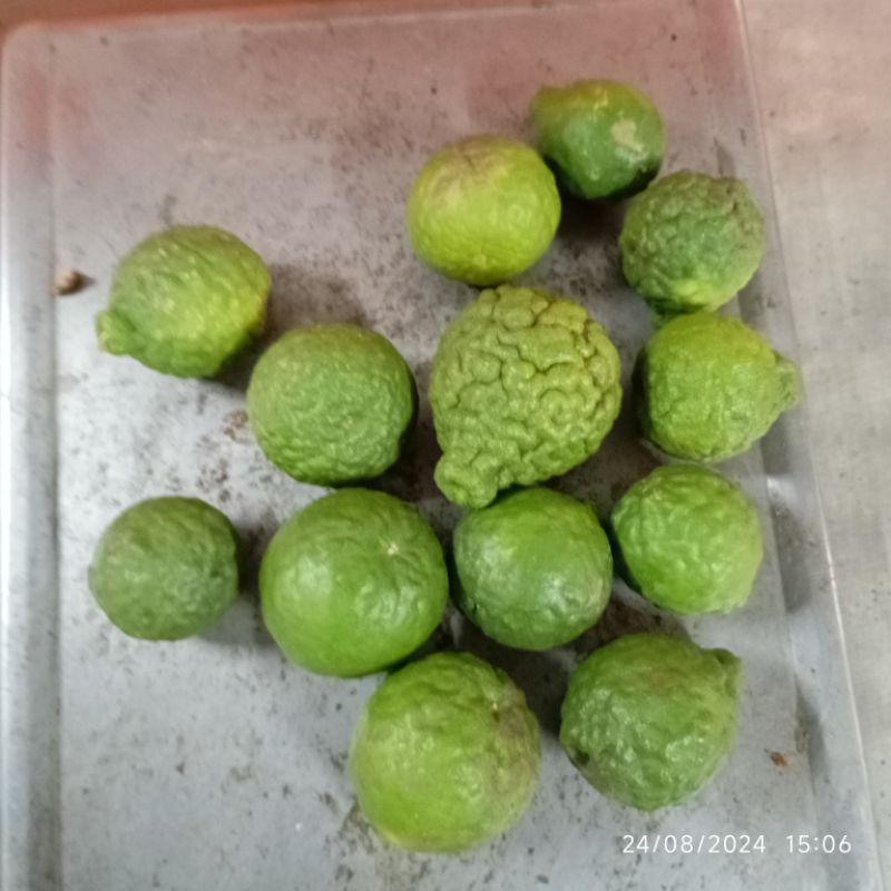 

JERUK PURUT SEGAR FRESH 100 GRAM ASLI BALI