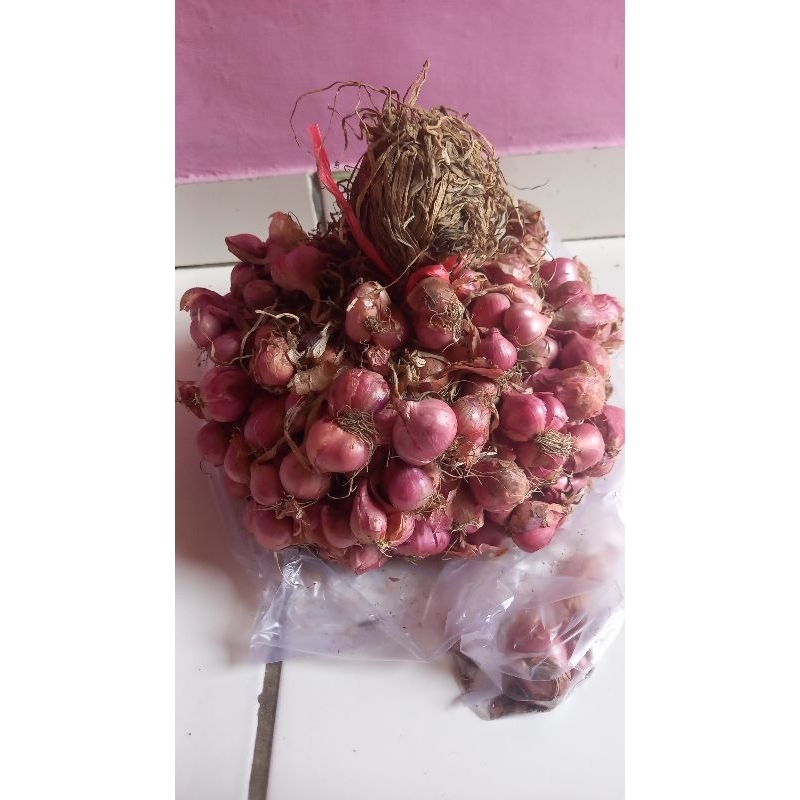 

bawang merah enrekang